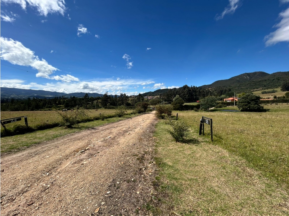 LOTE EN VENTA EN GUSCA VEREDA EL SANTUARIO - 4