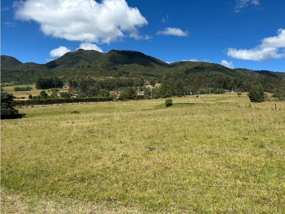 LOTE EN VENTA EN GUSCA VEREDA EL SANTUARIO - 5