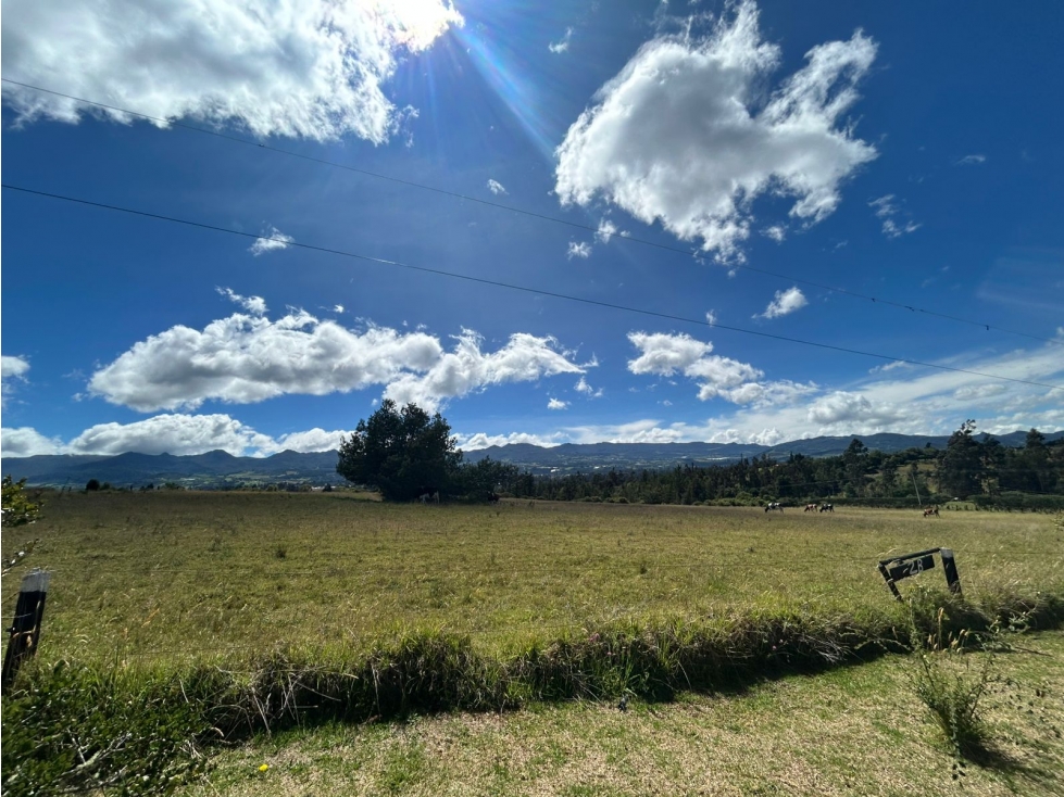 LOTE EN VENTA EN GUSCA VEREDA EL SANTUARIO - 6