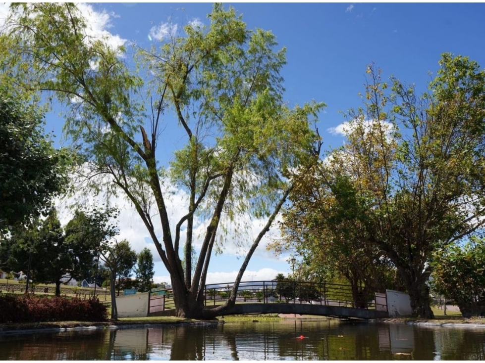 TERRENO EN VENTA URBANIZACION SANTA CLARA VALLE DE LOS CHILLOS AN - 6