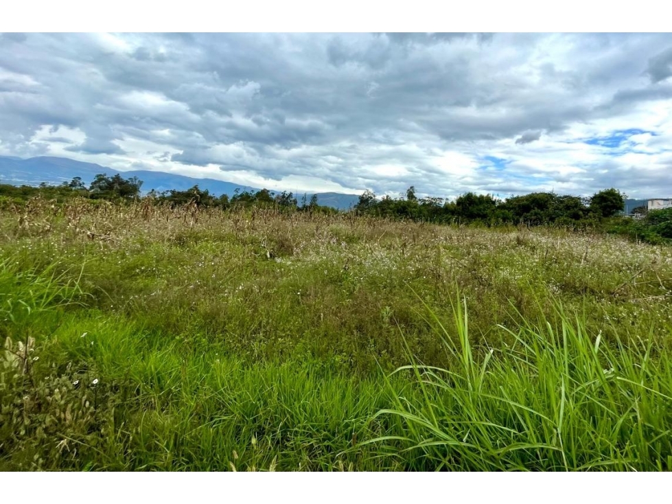 TERRENO EN VENTA 2.562 M2 LLANO CHICO -VÍA ZÁMBIZA (SZ) — foto 5