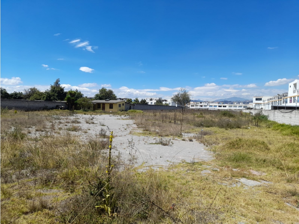 TERRENO EN VENTA 6952 M2 EN LA MEJOR ZONA DE CALDERÓN (SZ) — foto 4