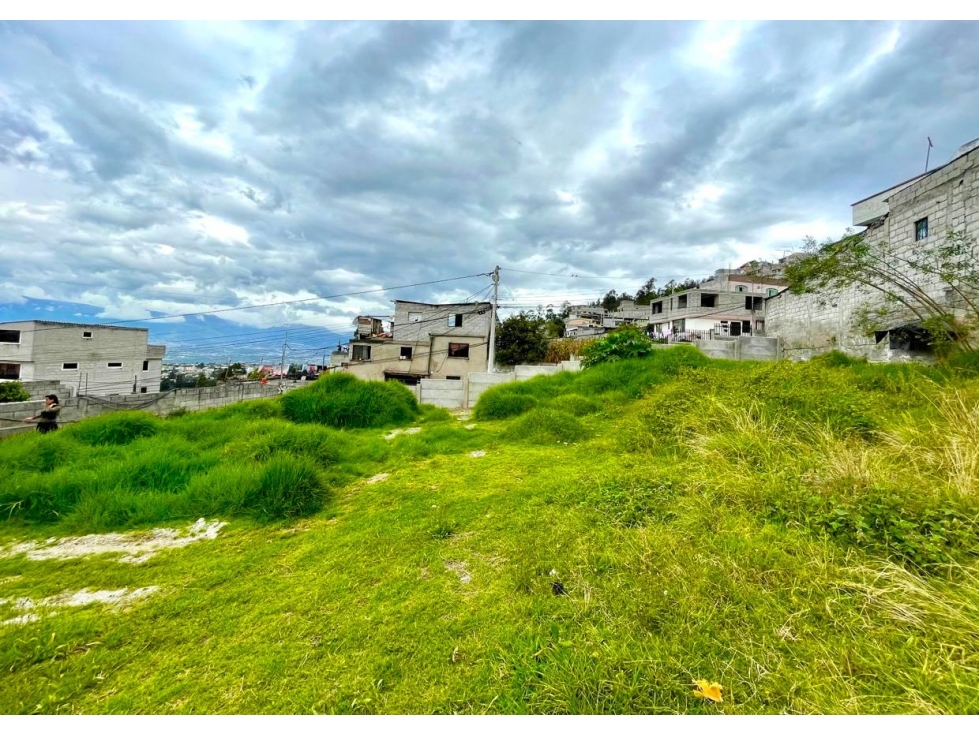 TERRENO EN VENTA 1274 M2 BELLA AURORA LLANO CHICO (SZ)