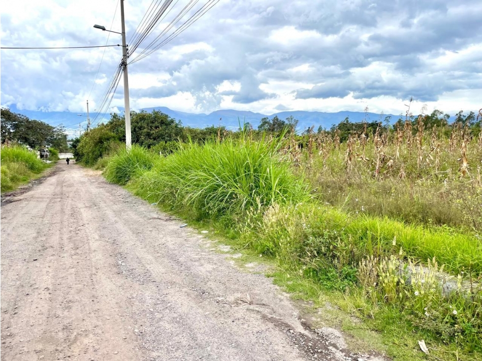 TERRENO EN VENTA 2.562 M2 LLANO CHICO -VÍA ZÁMBIZA (SZ) — foto 4