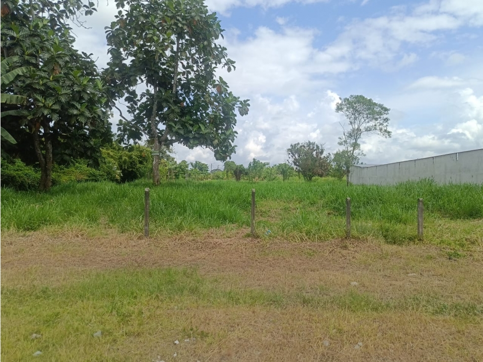 TERRENOS EN VENTA EN LA CONCORDIA SP - 5