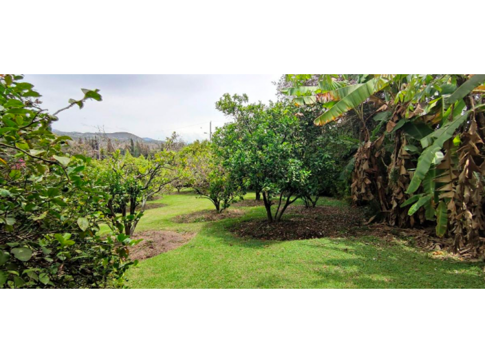 FINCA EN SANTIAGO DEL REY IMBABURA CON ABUNDANTE AGUA AN - 3