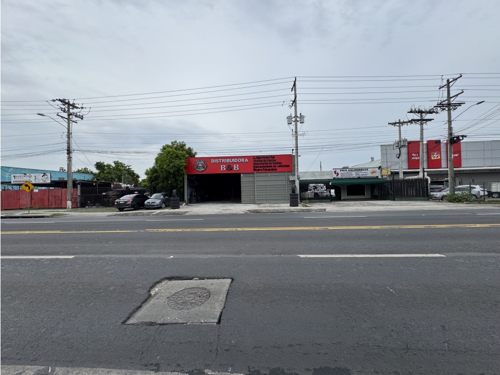 GALERA-LOCAL COMERCIAL EN VENTA EN AV JOSE AGUSTIN ARANGO | JUAN DIAZ — foto 4