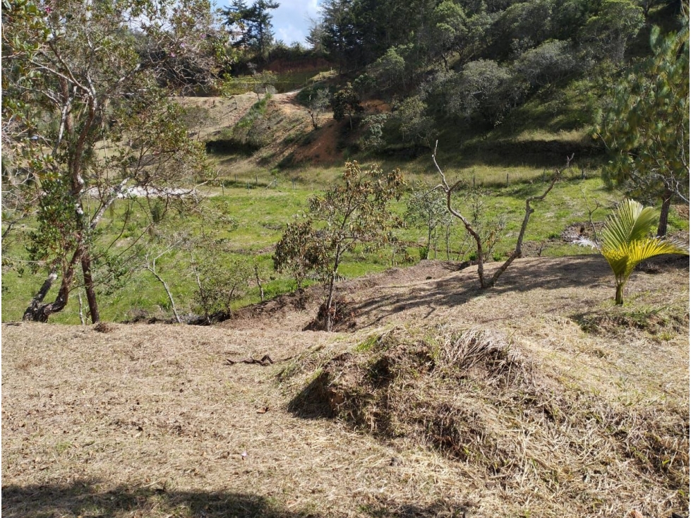 SE VENDE LOTE EN SAN VICENTE DE FERRER CERCA AL AEROPUERTO — foto 2