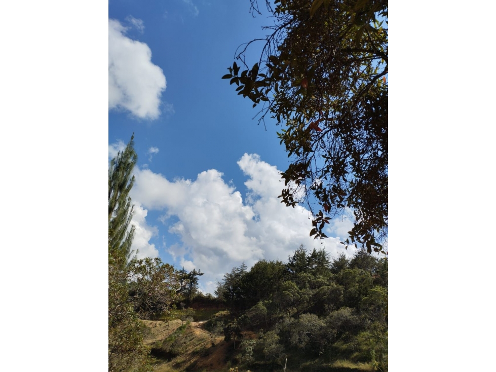SE VENDE LOTE EN SAN VICENTE DE FERRER CERCA AL AEROPUERTO — foto 6