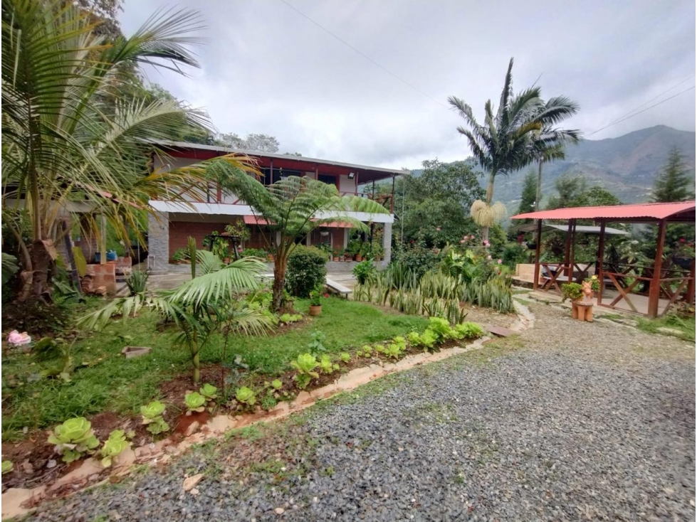 SE VENDE FINCA EN COPACABANA, A 30 MIN DEL PARQUE PRINCIPAL — foto 6