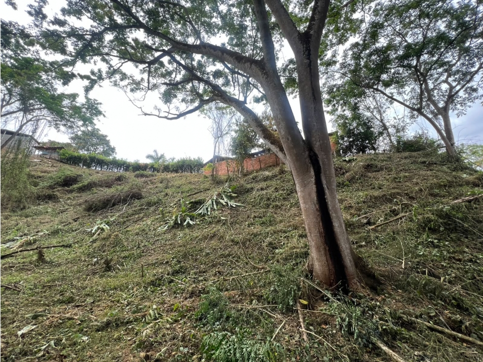 SE VENDE LOTE COMERCIAL SOBRE AUTOPISTA MEDELLÍN - SAN JERÓNIMO - 3