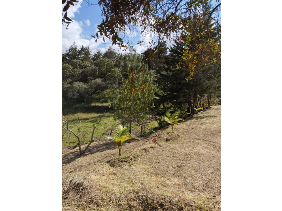 SE VENDE LOTE EN SAN VICENTE DE FERRER CERCA AL AEROPUERTO — foto 4