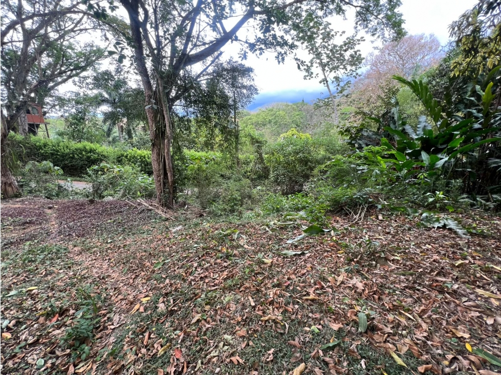 SE VENDE LOTE COMERCIAL SOBRE AUTOPISTA MEDELLÍN - SAN JERÓNIMO - 5