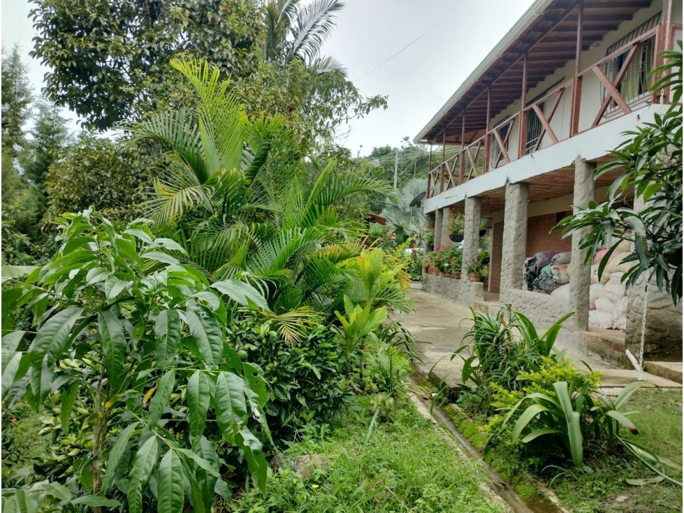 SE VENDE FINCA EN COPACABANA, A 30 MIN DEL PARQUE PRINCIPAL — foto 5