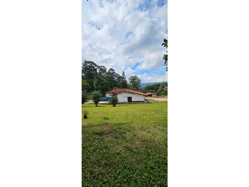 SE VENDE LINDA FINCA EN CALDAS SECTOR LA MIEL — foto 4