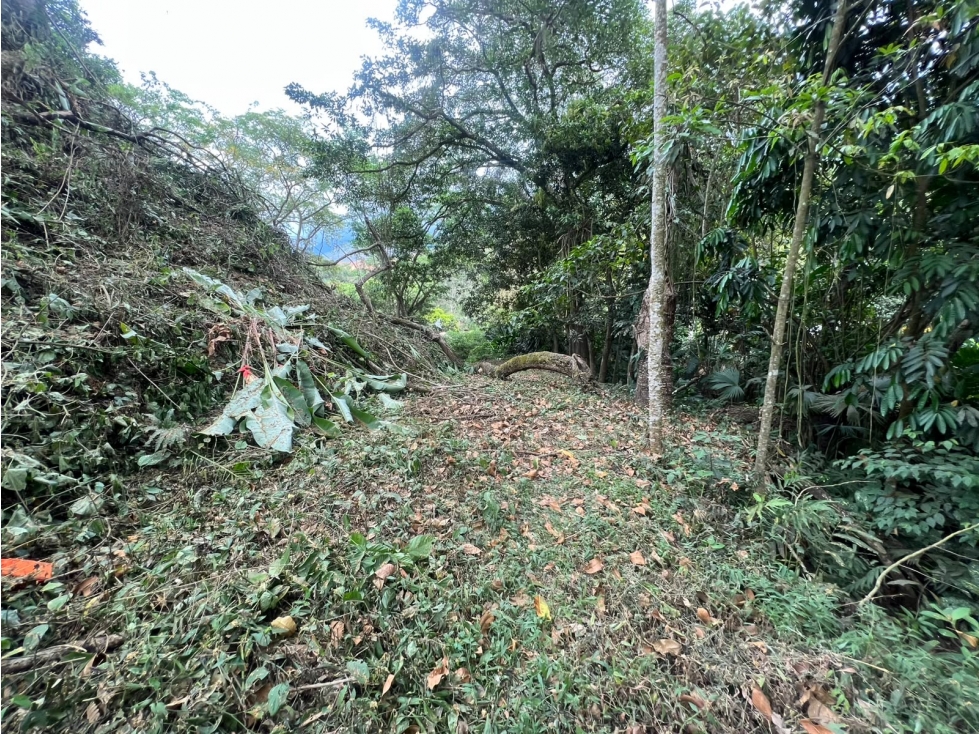 SE VENDE LOTE COMERCIAL SOBRE AUTOPISTA MEDELLÍN - SAN JERÓNIMO - 6
