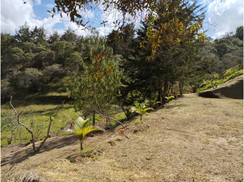 SE VENDE LOTE EN SAN VICENTE DE FERRER CERCA AL AEROPUERTO — foto 5