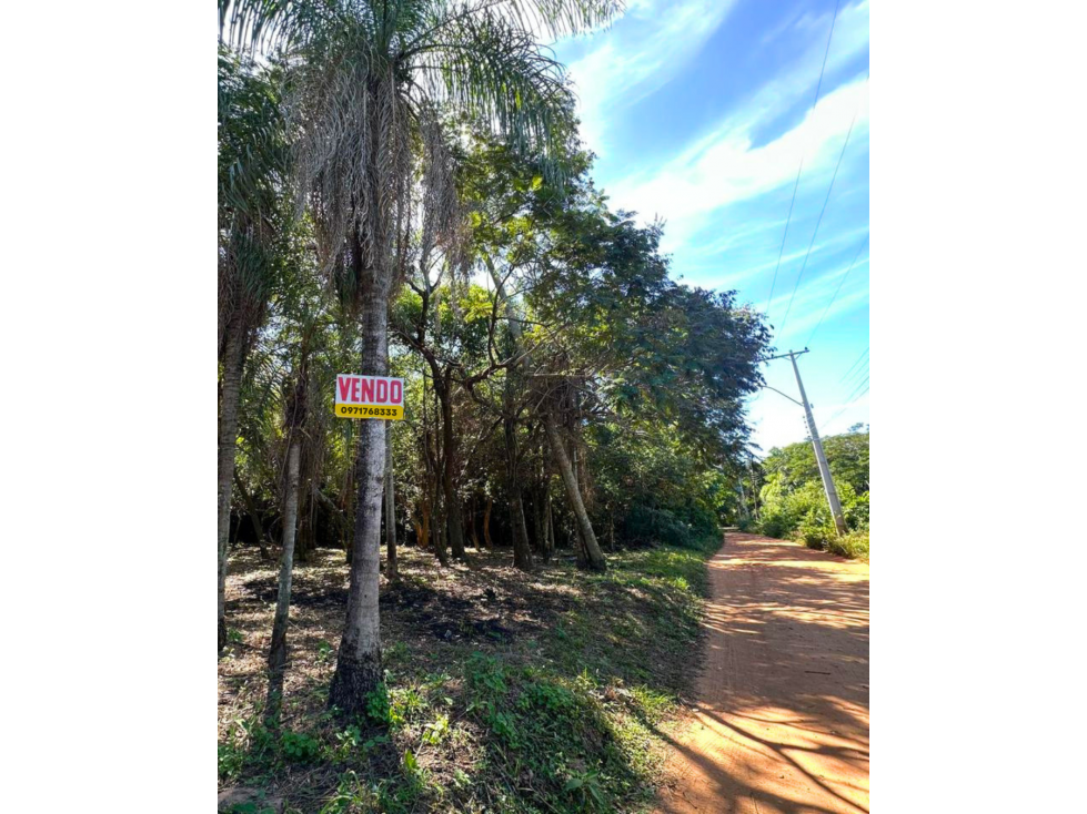 En venta amplio terreno en San Bernardino - 2