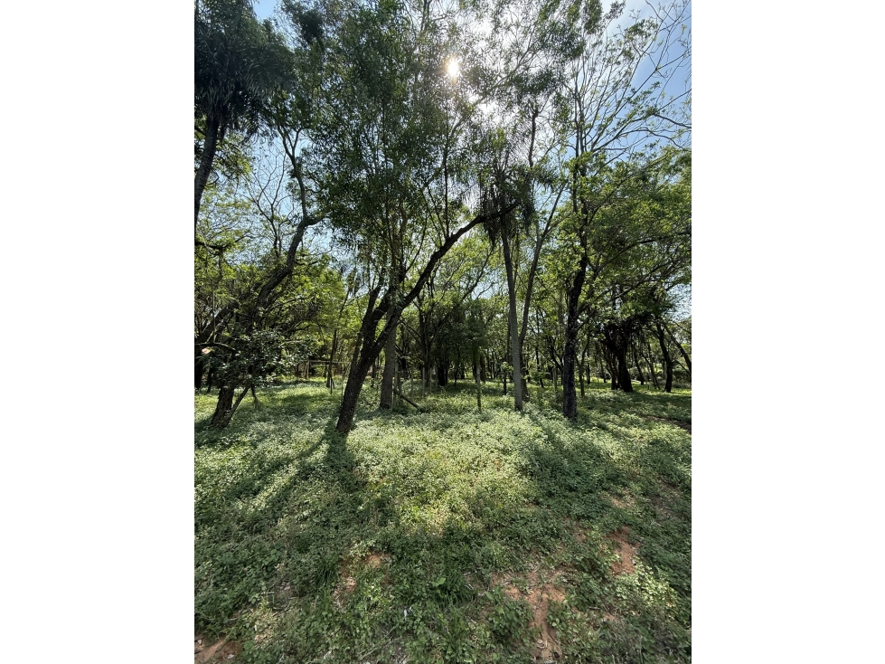 Terreno en venta Condominio Cerrado Villa María, San Bernardino - 2