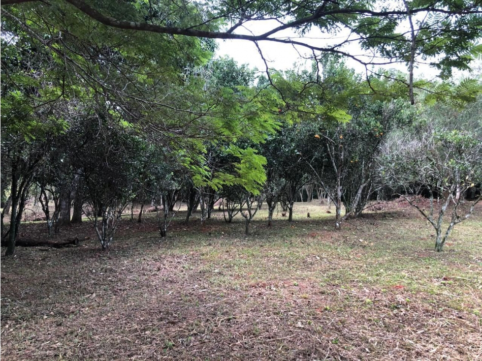 Terreno en venta Itacurubi de la Cordillera - 3