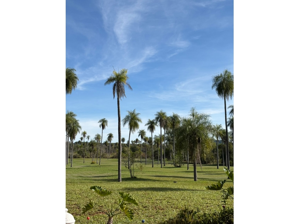En venta propiedades con 4 hectareas en Piribebuy - 3