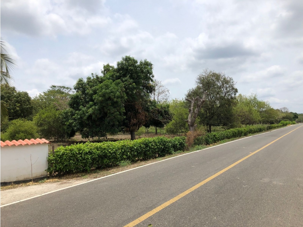 Se vende Finca Dos Mundos en Aguada Pablo Sabanalarga - 4