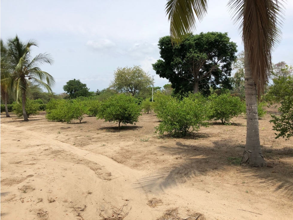 Se vende Finca Dos Mundos en Aguada Pablo Sabanalarga - 5