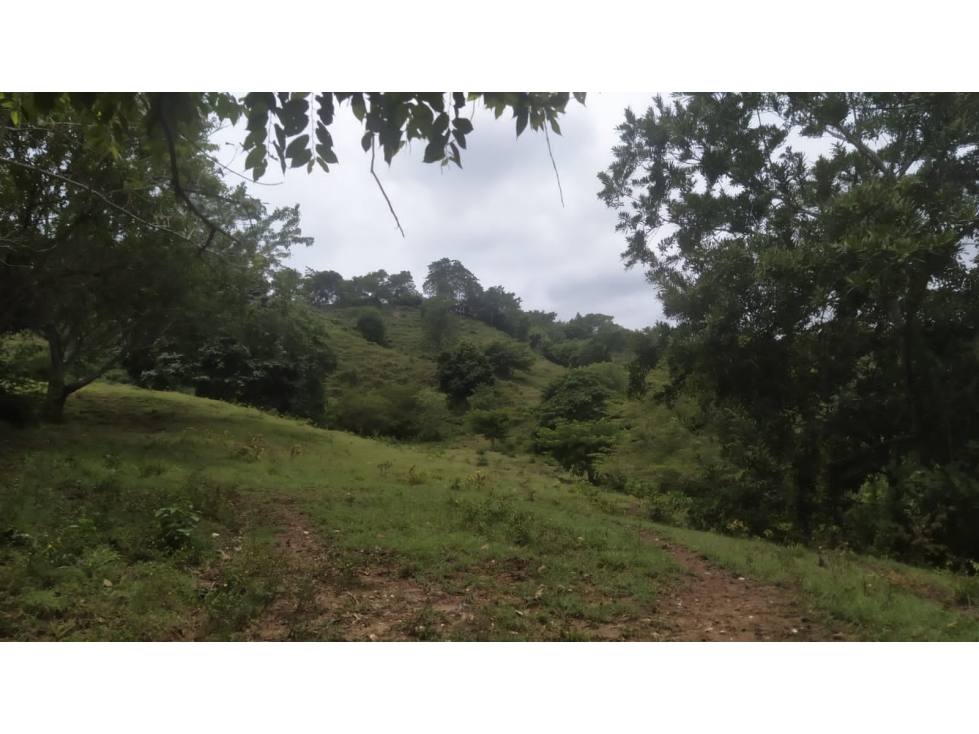 SE VENDE FINCA CERCA A LURUACO - 2
