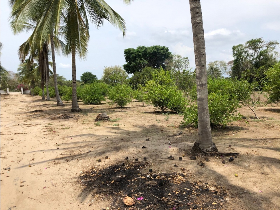 Se vende Finca Dos Mundos en Aguada Pablo Sabanalarga - 6