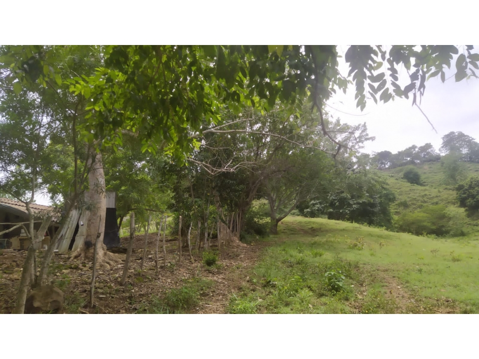 SE VENDE FINCA CERCA A LURUACO - 3
