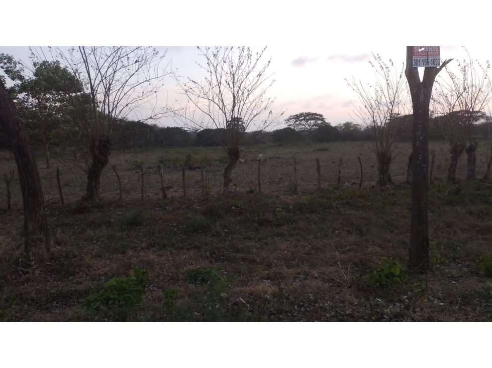 Se vende finca en Hibacharo, $540.000.000 - 2
