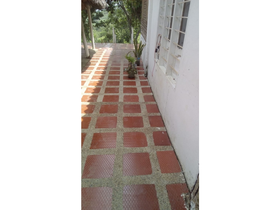 SE VENDE FINCA CERCA A LURUACO - 4