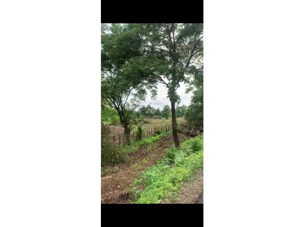 Se vende finca en Hibacharo, $540.000.000 - 3
