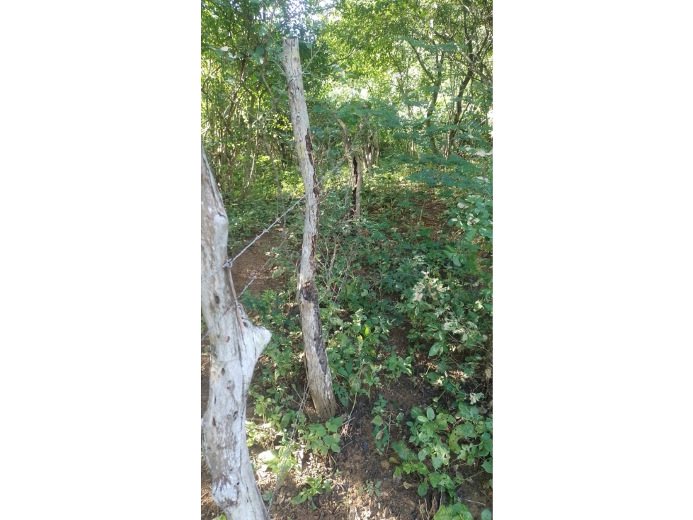 Se vende finca en Hibacharo, $540.000.000 - 4