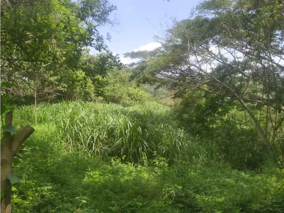SE VENDE FINCA CERCA A LURUACO - 6