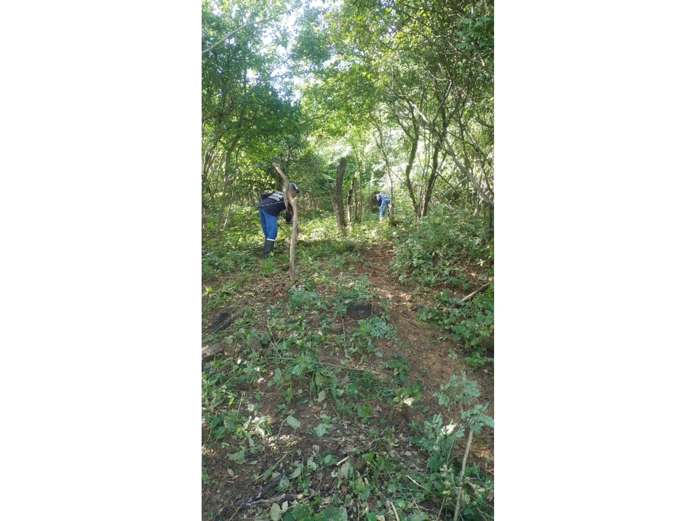 Se vende finca en Hibacharo, $540.000.000 - 5