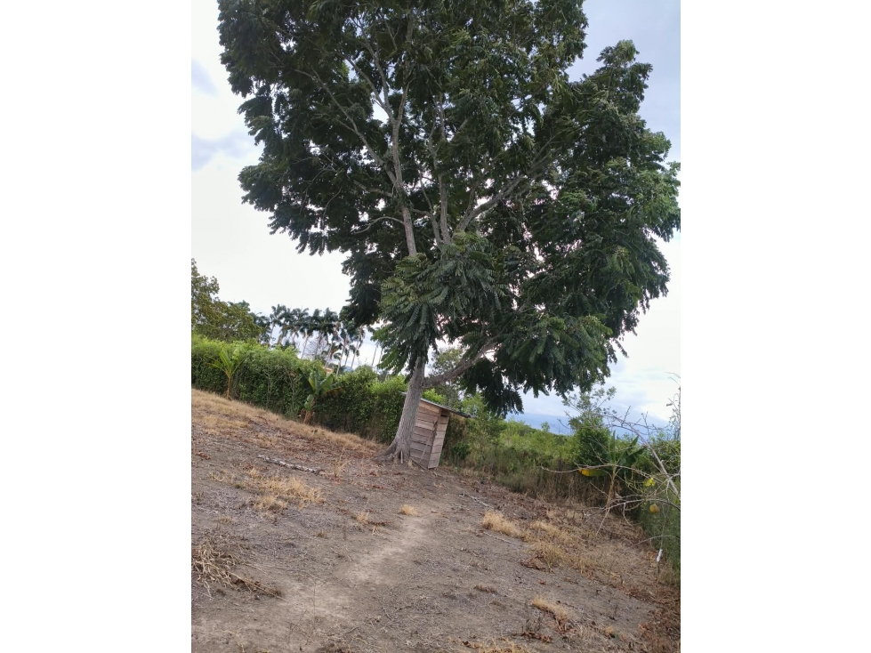 Venta De Lote en Cerritos, Pereira con estudio de suelos incluido — foto 3