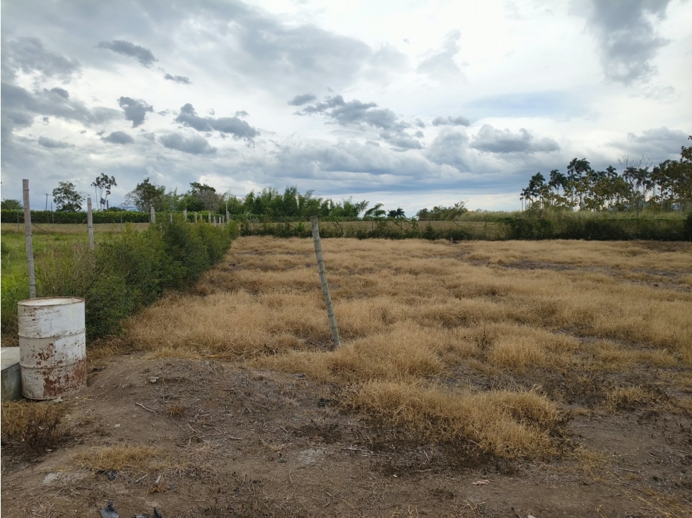 Venta De Lote en Cerritos, Pereira con estudio de suelos incluido — foto 4