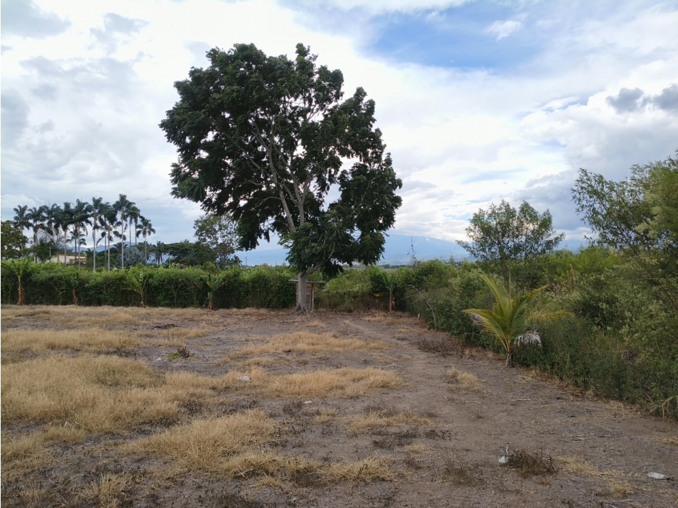 Venta De Lote en Cerritos, Pereira con estudio de suelos incluido — foto 6
