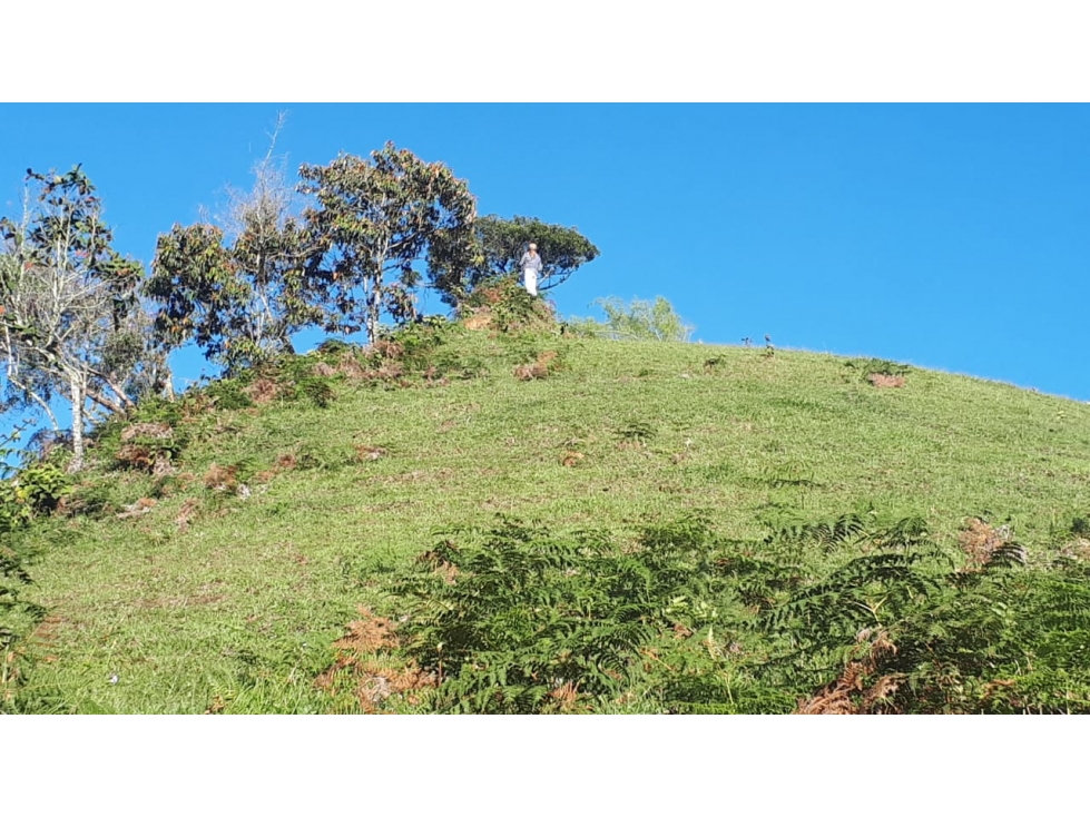 Lote en venta en Santuario