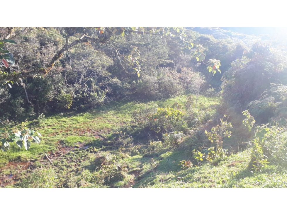 Lote en venta en Santuario — foto 2