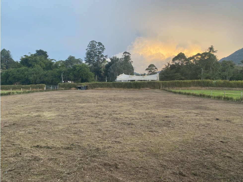 4 lotes DE 3252 MT cada uno en venta en la Ceja,Antioquia