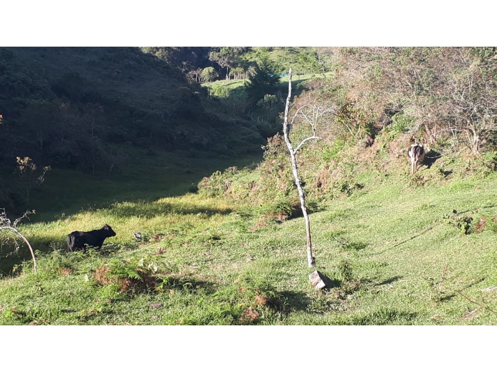 Lote en venta en Santuario — foto 3