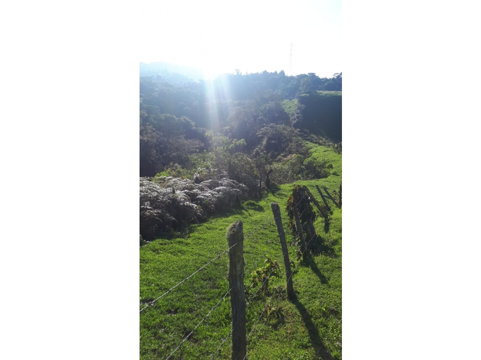 Lote en venta en Santuario — foto 4