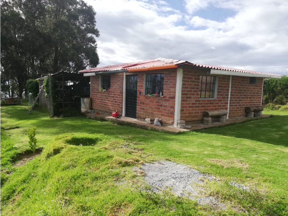 Terreno con casas en venta Yaruquí (1 hectárea) con vista — foto 3