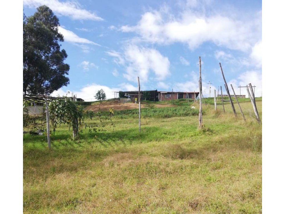Terreno con casas en venta Yaruquí (1 hectárea) con vista — foto 4