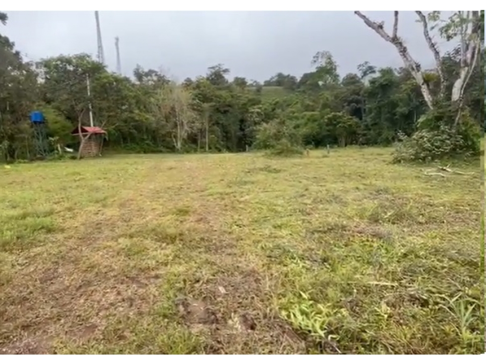 De Oportunidad Vendo Terreno 2.000 Metros En Mindo - 6