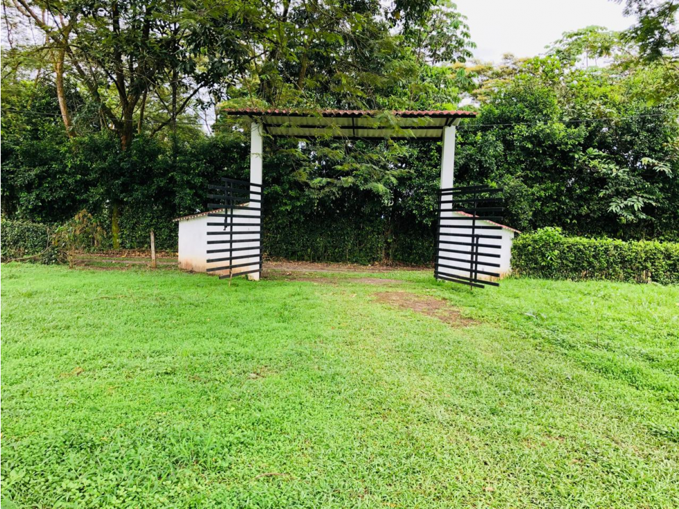 Finca en Venta - Cumaral (Meta) - 5