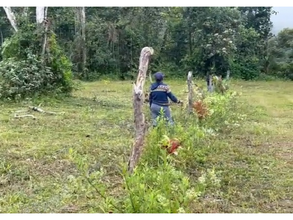 De Oportunidad Vendo Terreno 2.000 Metros En Mindo - 5
