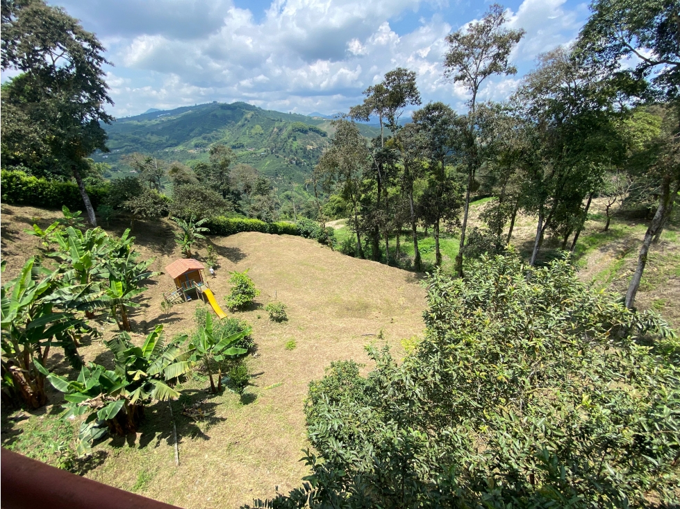 Vendo casa campestre sector Chinchina - 3